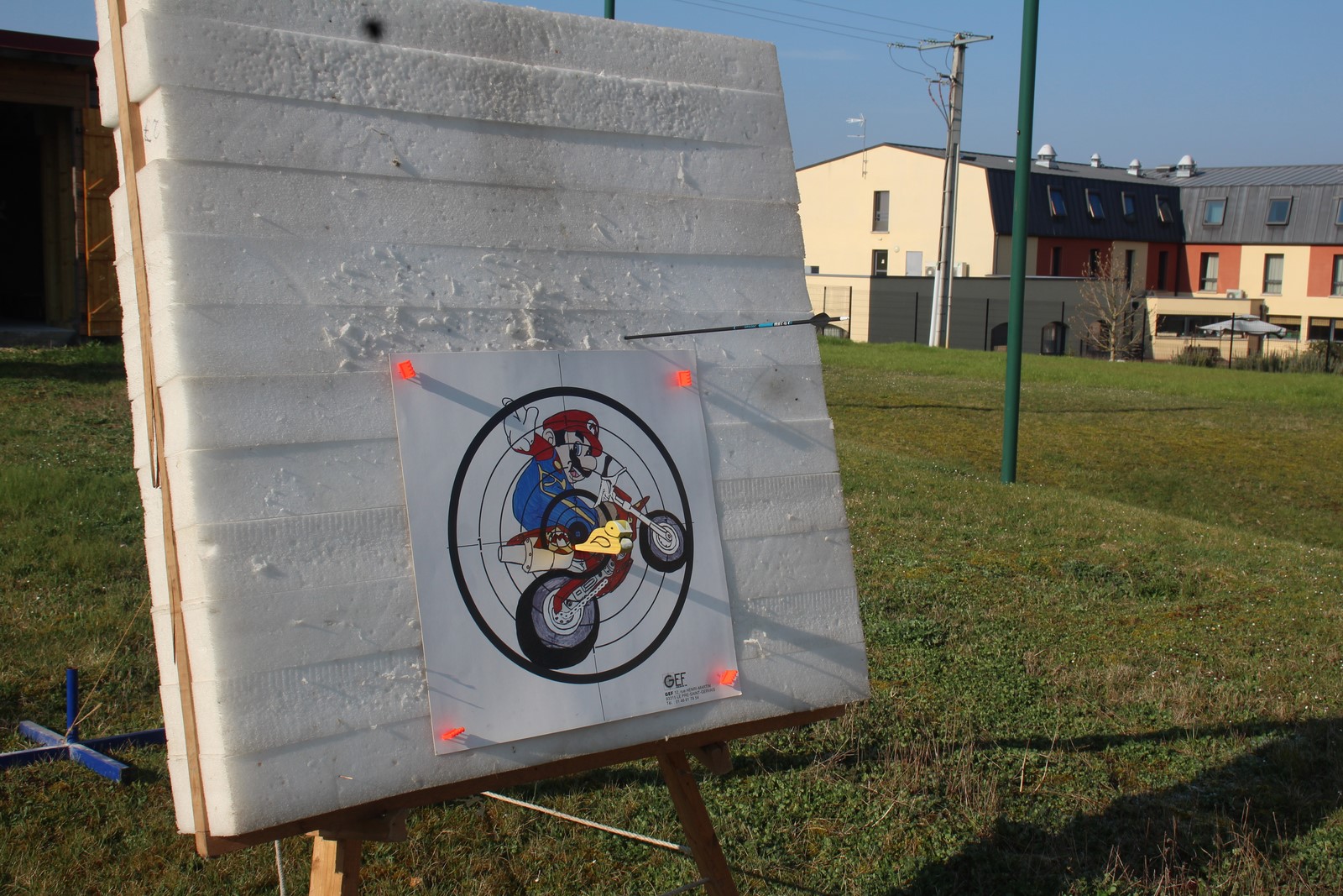 Owl Image